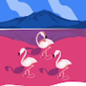 Meet your Posher, Aaliah